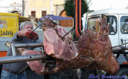 img_7186.jpg