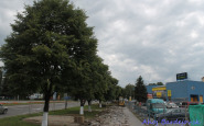 img_8025.jpg