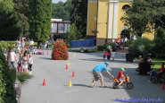 img_8132.jpg