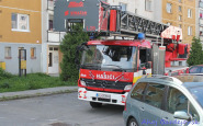 img_8451.jpg