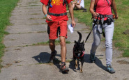 start01.jpg