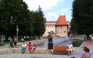 koncert_(9).jpg