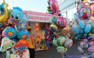 img_0894.jpg