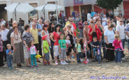 hasici_bj_ahojbj_(12).jpg